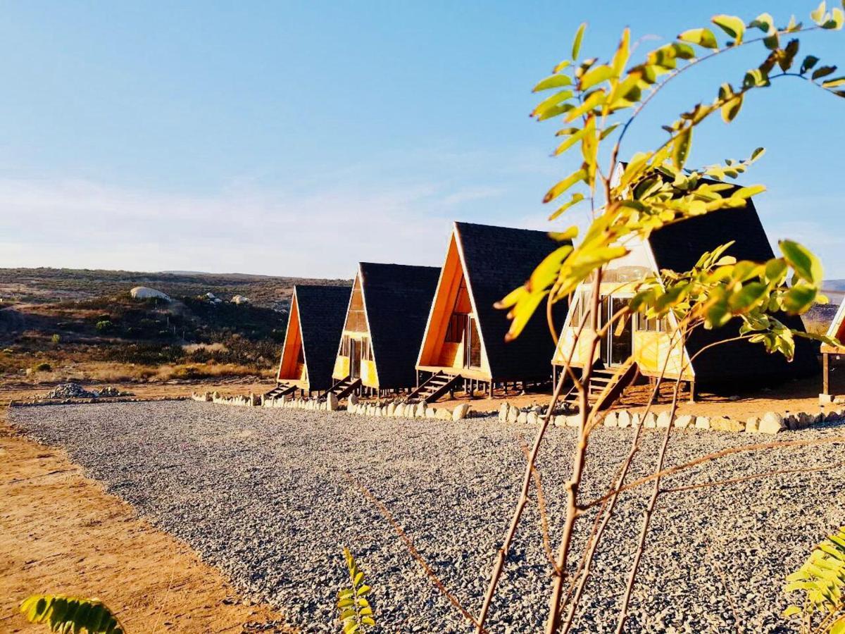 Ixchel Glamping Valle De Guadalupe Ensenada Rom bilde